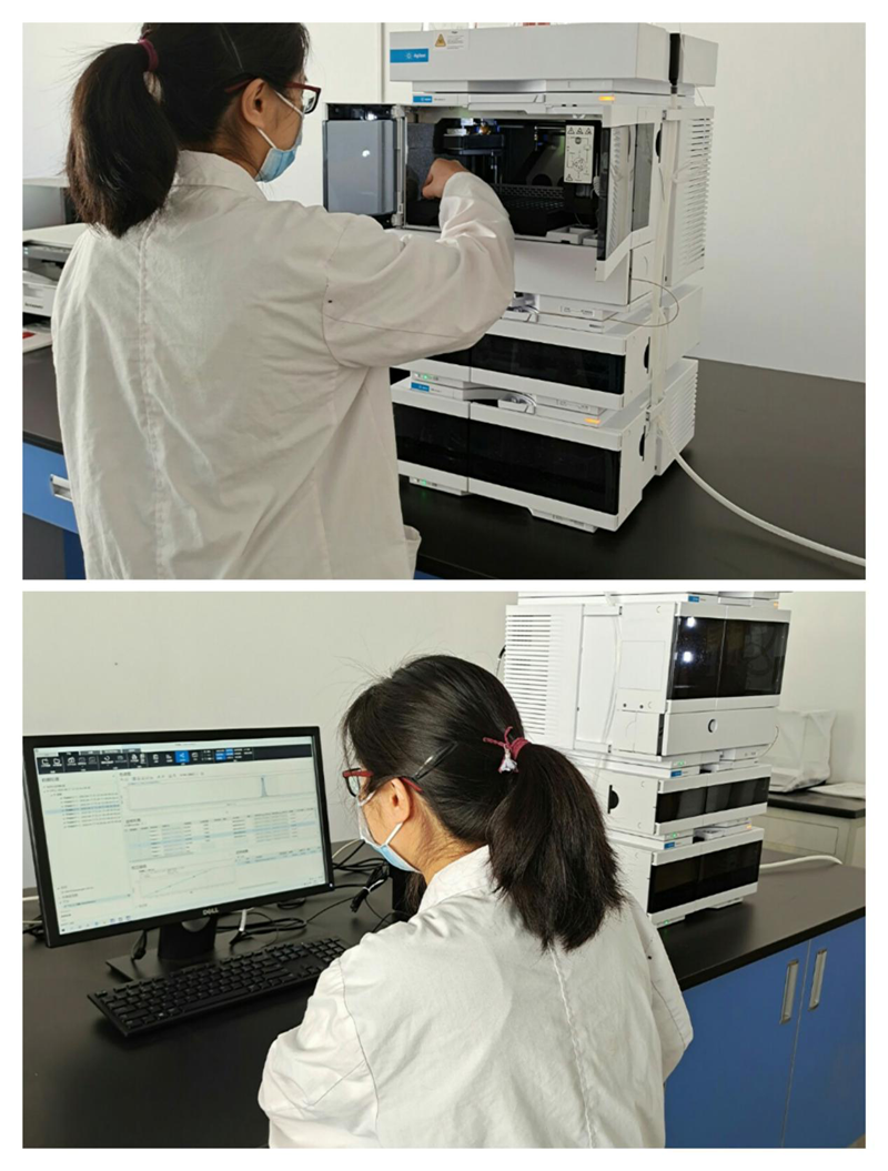 教学仪器